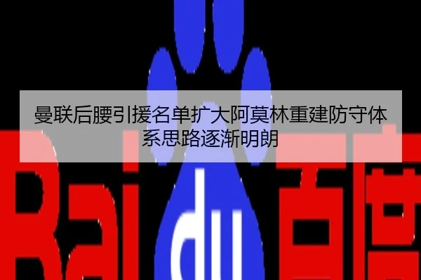 曼联后腰引援名单扩大阿莫林重建防守体系思路逐渐明朗